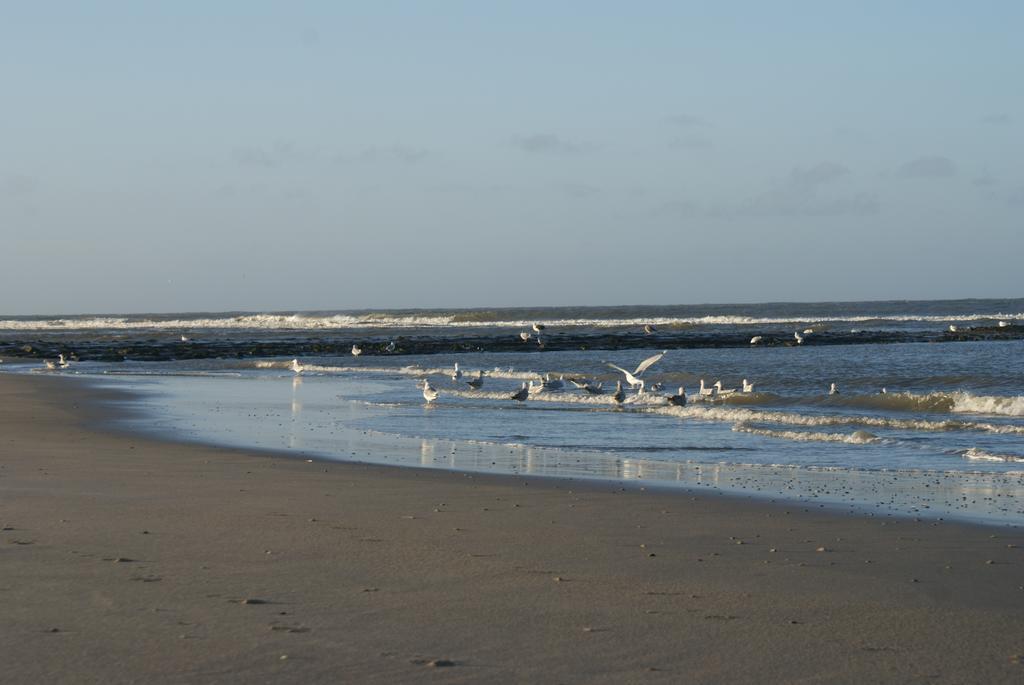 De Herbergh Van Flielant Vlieland Zewnętrze zdjęcie